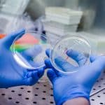 España e Italia, los primeros de siete países en uso de CAR-T tras el proceso de derivación